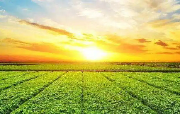 支撐綠色電力就地就近消納，關(guān)于印發(fā)河南省加快推進(jìn)源網(wǎng)荷儲(chǔ)一體化實(shí)施方案的通知1